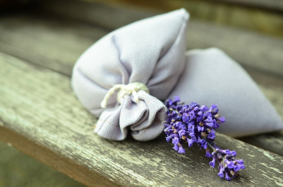 A lavender.
