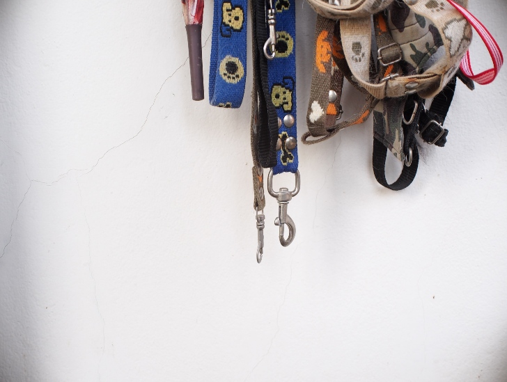 Pet collar and leash hangging.