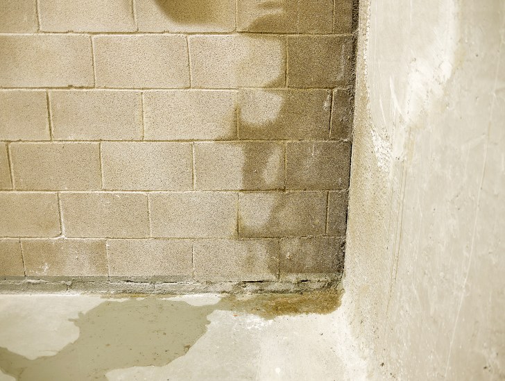 Wet Basement walls.